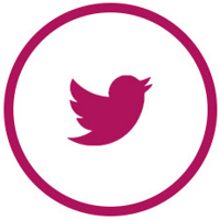Icon Twitter