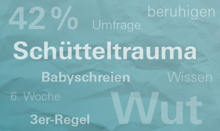 Grafik Begriffe und Zahlen zum Schütteltrauma